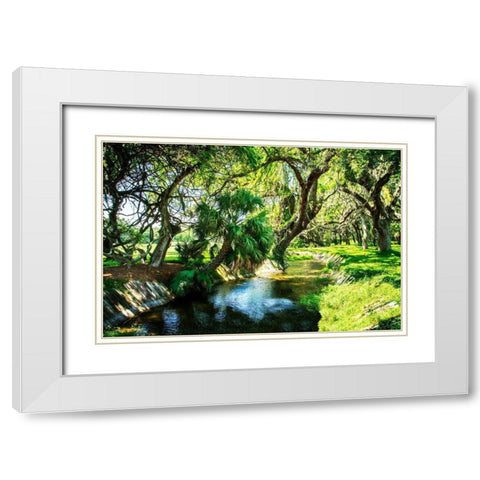 Saint Simons Waterway White Modern Wood Framed Art Print with Double Matting by Hausenflock, Alan