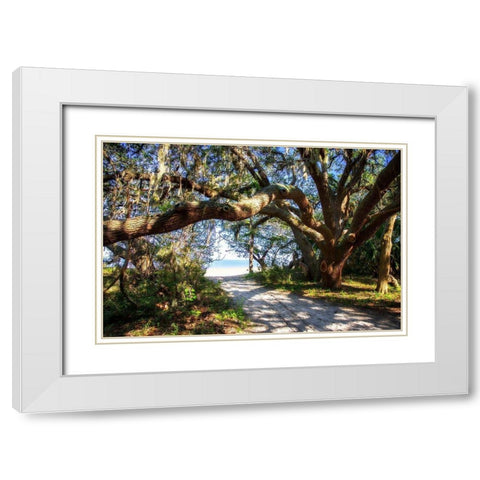 To the Beach White Modern Wood Framed Art Print with Double Matting by Hausenflock, Alan