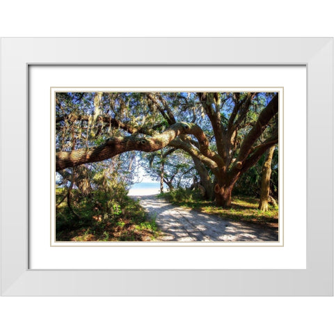 To the Beach White Modern Wood Framed Art Print with Double Matting by Hausenflock, Alan