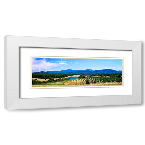 Virginia Vineyards I White Modern Wood Framed Art Print with Double Matting by Hausenflock, Alan