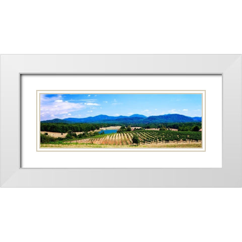 Virginia Vineyards I White Modern Wood Framed Art Print with Double Matting by Hausenflock, Alan