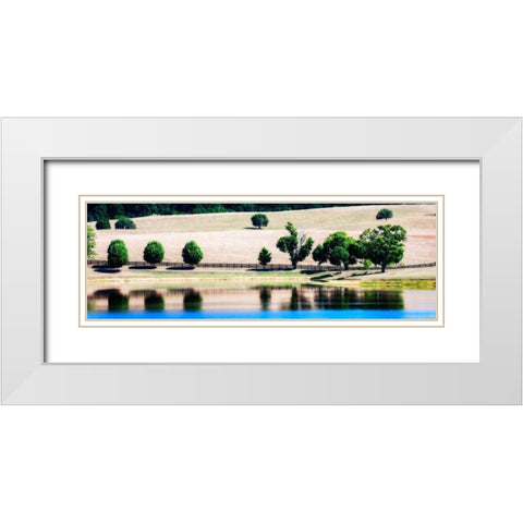 Virginia Vineyards II White Modern Wood Framed Art Print with Double Matting by Hausenflock, Alan