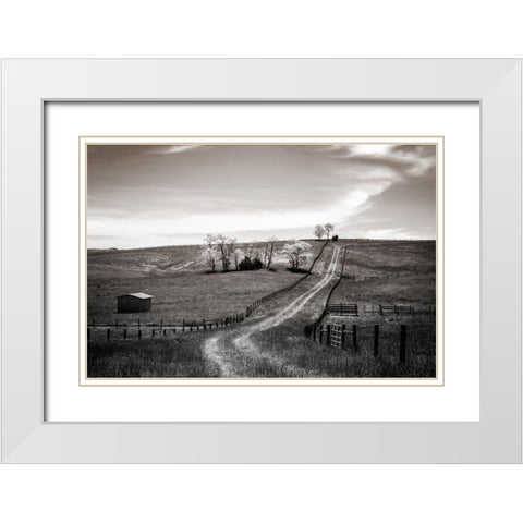 Lonely Road I White Modern Wood Framed Art Print with Double Matting by Hausenflock, Alan