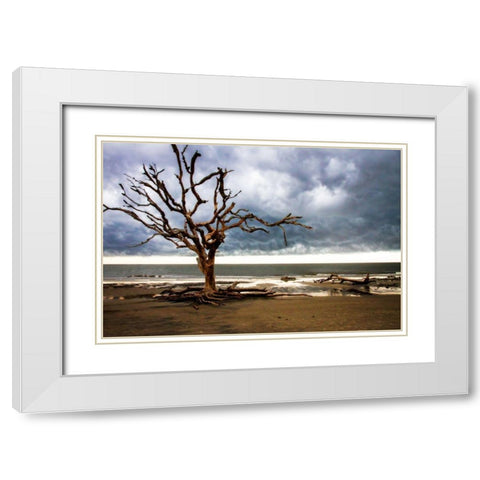 Storm is Coming I White Modern Wood Framed Art Print with Double Matting by Hausenflock, Alan