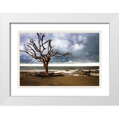 Storm is Coming I White Modern Wood Framed Art Print with Double Matting by Hausenflock, Alan