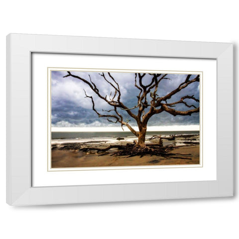 Storm is Coming II White Modern Wood Framed Art Print with Double Matting by Hausenflock, Alan