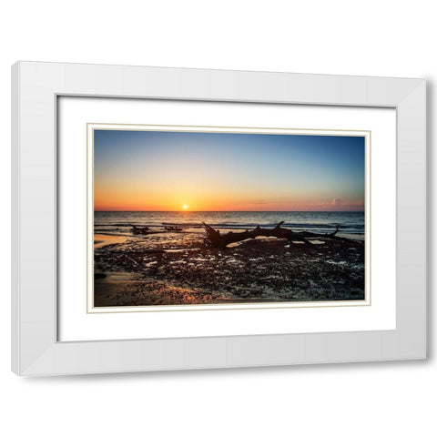 Jekyll Island Sunrise IV White Modern Wood Framed Art Print with Double Matting by Hausenflock, Alan