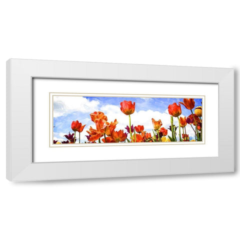 Tulips in the Sun I White Modern Wood Framed Art Print with Double Matting by Hausenflock, Alan