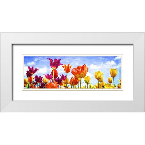 Tulips in the Sun II White Modern Wood Framed Art Print with Double Matting by Hausenflock, Alan