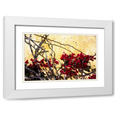 Flowers of Carmel I White Modern Wood Framed Art Print with Double Matting by Hausenflock, Alan