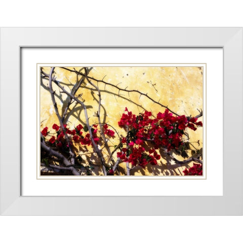 Flowers of Carmel I White Modern Wood Framed Art Print with Double Matting by Hausenflock, Alan