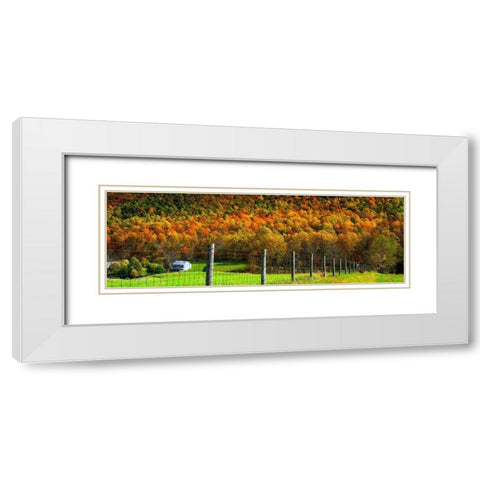 Autumn Splendor I White Modern Wood Framed Art Print with Double Matting by Hausenflock, Alan