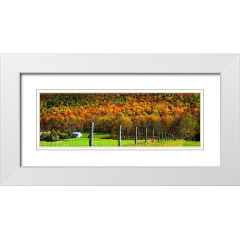 Autumn Splendor I White Modern Wood Framed Art Print with Double Matting by Hausenflock, Alan