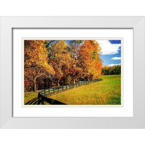 Winding Through Red and Gold White Modern Wood Framed Art Print with Double Matting by Hausenflock, Alan