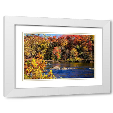 Autumn by the River I White Modern Wood Framed Art Print with Double Matting by Hausenflock, Alan