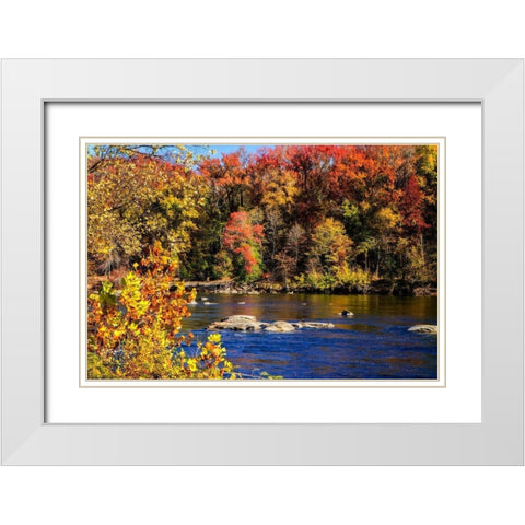 Autumn by the River I White Modern Wood Framed Art Print with Double Matting by Hausenflock, Alan