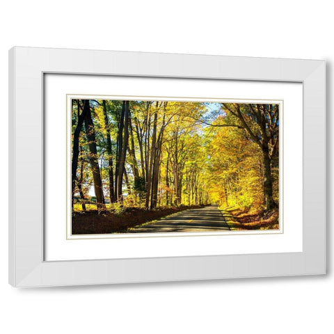 Trees of Gold and Green I White Modern Wood Framed Art Print with Double Matting by Hausenflock, Alan