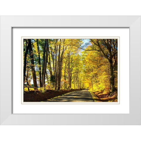 Trees of Gold and Green I White Modern Wood Framed Art Print with Double Matting by Hausenflock, Alan