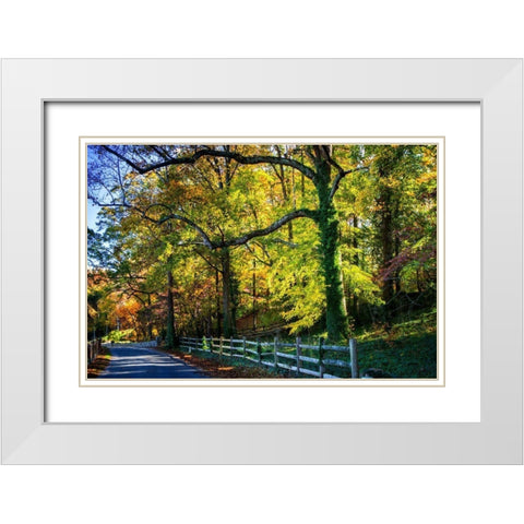 Trees of Gold and Green II White Modern Wood Framed Art Print with Double Matting by Hausenflock, Alan