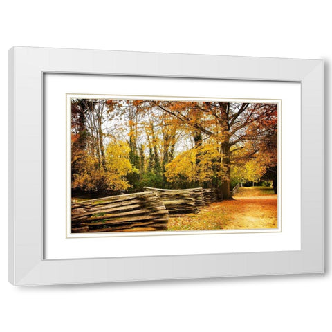 Late Fall Day I White Modern Wood Framed Art Print with Double Matting by Hausenflock, Alan