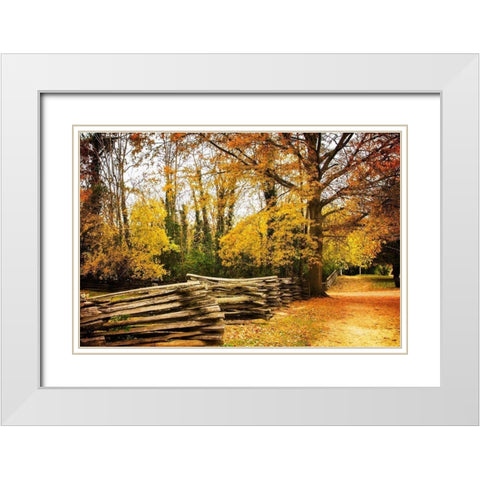 Late Fall Day I White Modern Wood Framed Art Print with Double Matting by Hausenflock, Alan