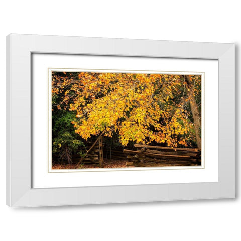 Late Fall Day II White Modern Wood Framed Art Print with Double Matting by Hausenflock, Alan