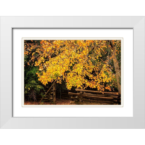 Late Fall Day II White Modern Wood Framed Art Print with Double Matting by Hausenflock, Alan