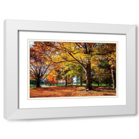 Autumn on the Plantation I White Modern Wood Framed Art Print with Double Matting by Hausenflock, Alan