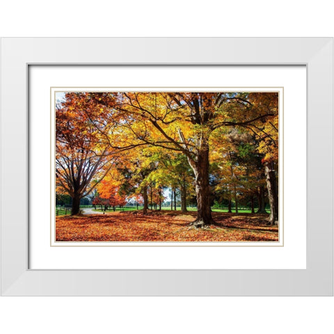 Autumn on the Plantation I White Modern Wood Framed Art Print with Double Matting by Hausenflock, Alan