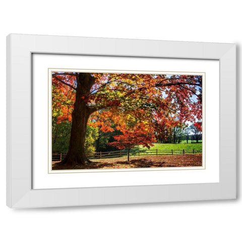 Autumn on the Plantation II White Modern Wood Framed Art Print with Double Matting by Hausenflock, Alan
