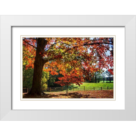 Autumn on the Plantation II White Modern Wood Framed Art Print with Double Matting by Hausenflock, Alan