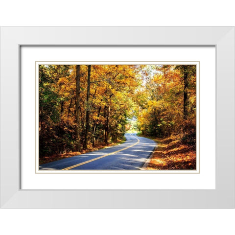 Walnut Grove Road I White Modern Wood Framed Art Print with Double Matting by Hausenflock, Alan