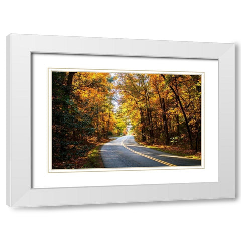 Walnut Grove Road II White Modern Wood Framed Art Print with Double Matting by Hausenflock, Alan