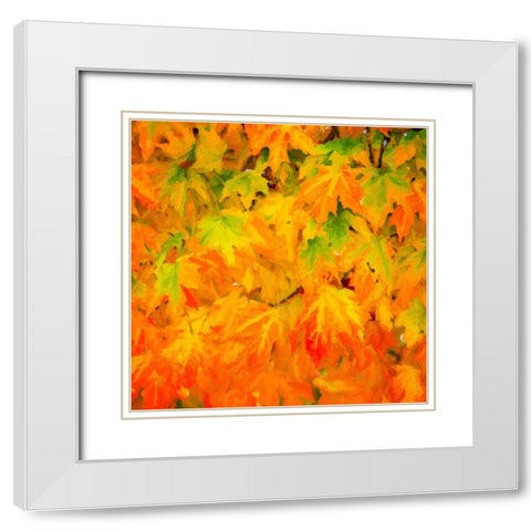 Autumn Leaves I White Modern Wood Framed Art Print with Double Matting by Hausenflock, Alan