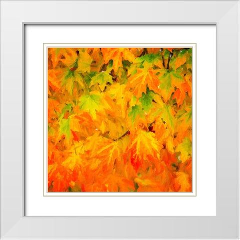 Autumn Leaves I White Modern Wood Framed Art Print with Double Matting by Hausenflock, Alan