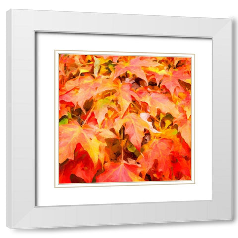 Autumn Leaves II White Modern Wood Framed Art Print with Double Matting by Hausenflock, Alan