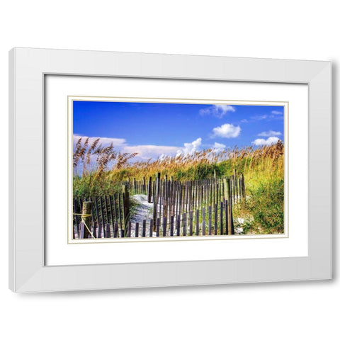 Summer at the Beach II White Modern Wood Framed Art Print with Double Matting by Hausenflock, Alan