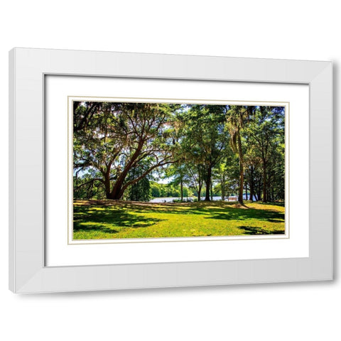 Beside the Ashley River White Modern Wood Framed Art Print with Double Matting by Hausenflock, Alan