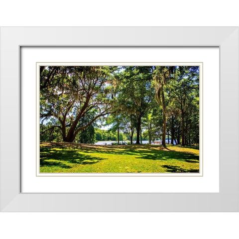 Beside the Ashley River White Modern Wood Framed Art Print with Double Matting by Hausenflock, Alan