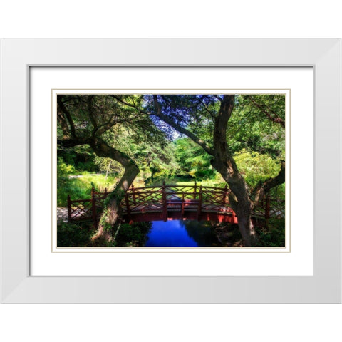 Bridge over Quiet Water White Modern Wood Framed Art Print with Double Matting by Hausenflock, Alan