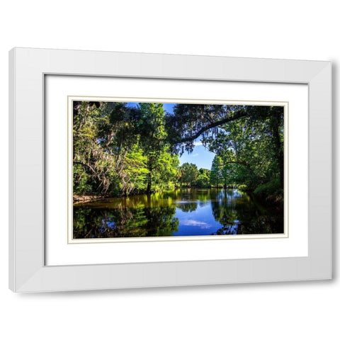Draytons Pond White Modern Wood Framed Art Print with Double Matting by Hausenflock, Alan