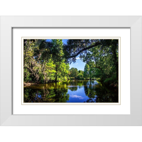 Draytons Pond White Modern Wood Framed Art Print with Double Matting by Hausenflock, Alan