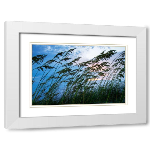 Stormy Beach II White Modern Wood Framed Art Print with Double Matting by Hausenflock, Alan