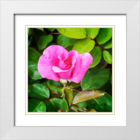 A Single Rose IV White Modern Wood Framed Art Print with Double Matting by Hausenflock, Alan