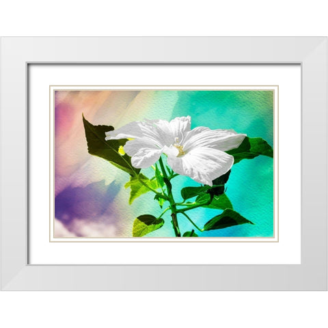 Summer Flower White Modern Wood Framed Art Print with Double Matting by Hausenflock, Alan