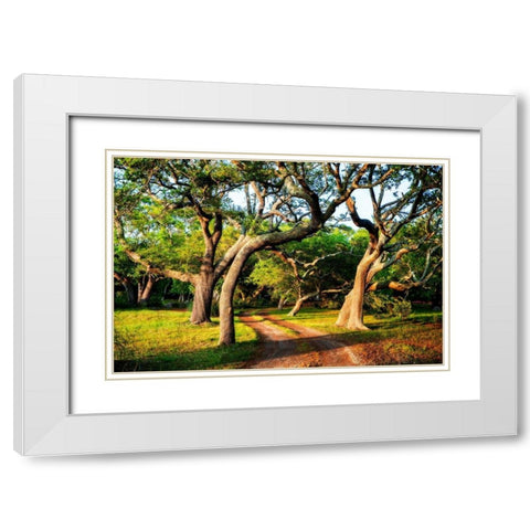 Lenoxville Point I White Modern Wood Framed Art Print with Double Matting by Hausenflock, Alan