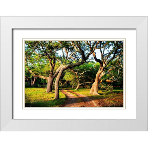 Lenoxville Point I White Modern Wood Framed Art Print with Double Matting by Hausenflock, Alan