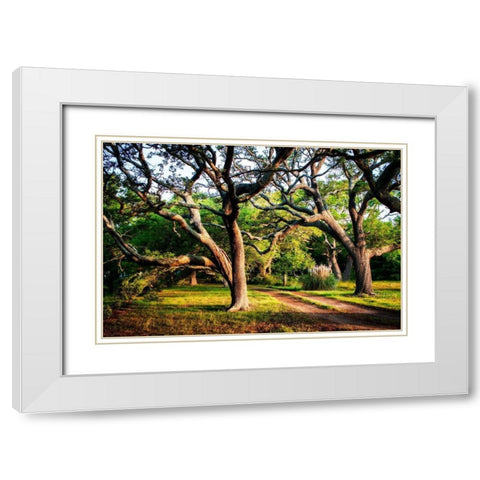 Lenoxville Point II White Modern Wood Framed Art Print with Double Matting by Hausenflock, Alan