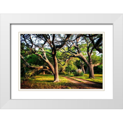 Lenoxville Point II White Modern Wood Framed Art Print with Double Matting by Hausenflock, Alan