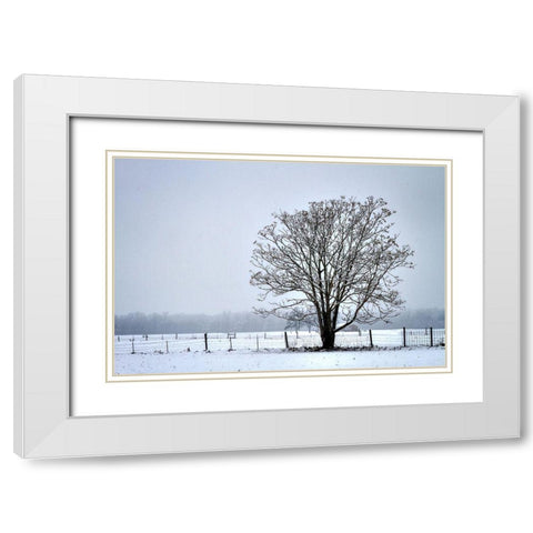 Snowbound I White Modern Wood Framed Art Print with Double Matting by Hausenflock, Alan